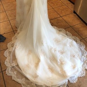 Wedding dress and veil